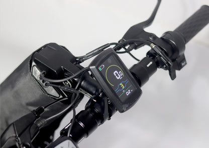 AW01 E-bike aankoppelwiel 30cm/12inch voor Rolstoelen